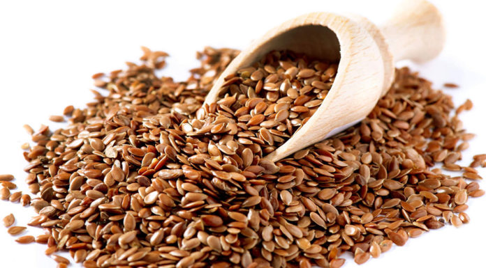 SIMIA DI LINO OF LINAZA