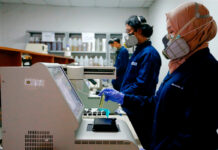 UN VERSION DI CORONAVIRUS CONOCI COMO D614G