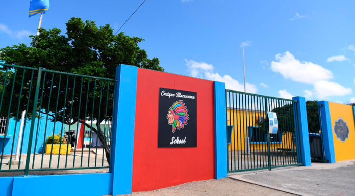 UN BISHITA PA MIRA E RESULTADO DI RECONSTRUCCION