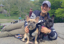 E DOS FRENCH BULLDOGS DI LADY GAGA A SER HAYA