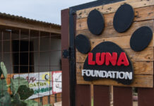 ARUBA BANK TA YUDA LUNA FOUNDATION ARUBA SALBA BIDA DI CACHONAN DI CAYA