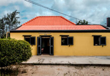 PROYECTO NOBO NA MUSEO CAS TAN TIN