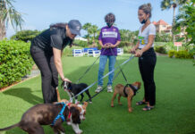 ‘PUTTS FOR PAWS CHARITY GOLF EVENT’ TABATA UN EXITO