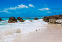 “HIGH VALUE LOW IMPACT”: E MODELO DI SOSTENIBILIDAD CU A.T.A. TA APLICA