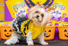 FIESTA DI DISFRAZ PA E CACHONAN DI ARUBA