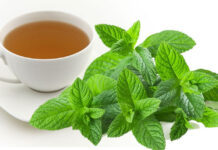 TE DI PARSLEY PA ADELGAZA CINCO KILO DEN TRES DIA