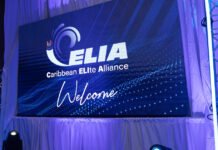 KABEL SUBMARINO CELIA CONECTANDO CARIBE CU MERCA