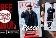 FOCUS DIGITAL 333 DOWNLOAD AWO