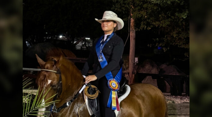 SARAH TOET KIER SIGUI DESAROYA SU HABILIDADNAN